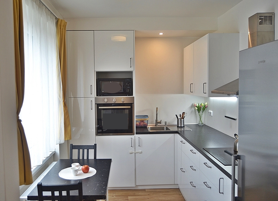 Pronájem bytu 2+1 Brno - Lesná, ul. Nejedlého